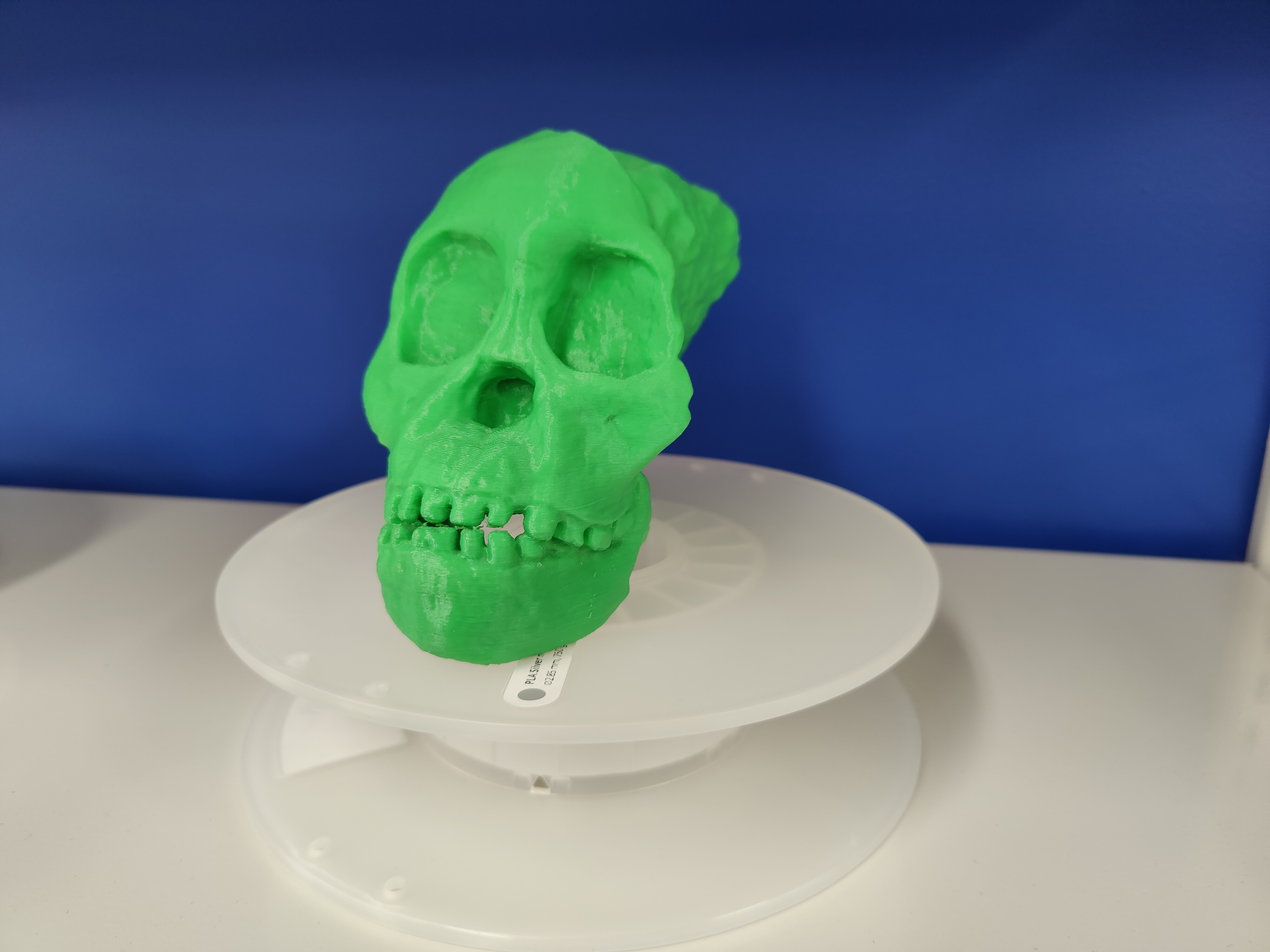 a 3d printed skull